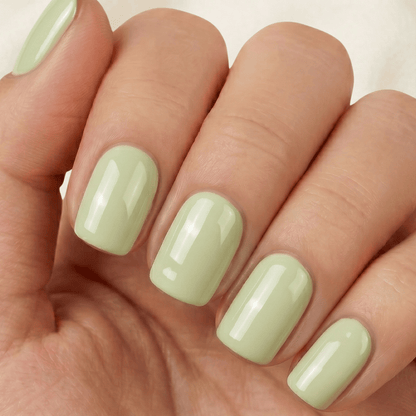 Matcha Green