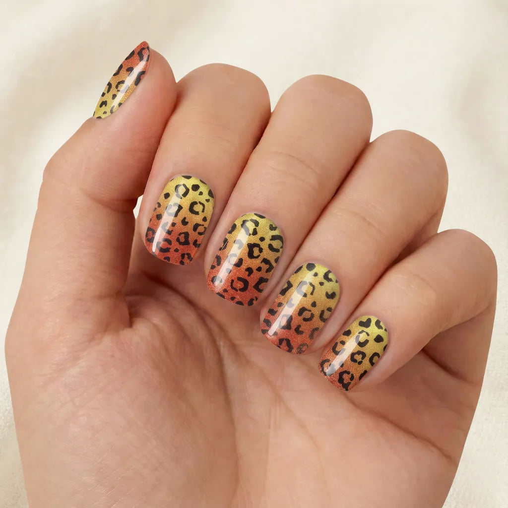 Leopard Shine