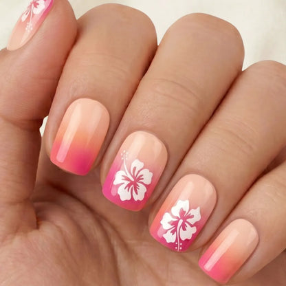 Tropical Sunset