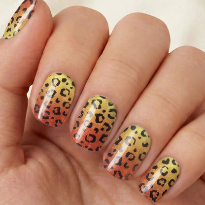 Leopard Shine
