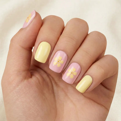 Butter Hibiscus