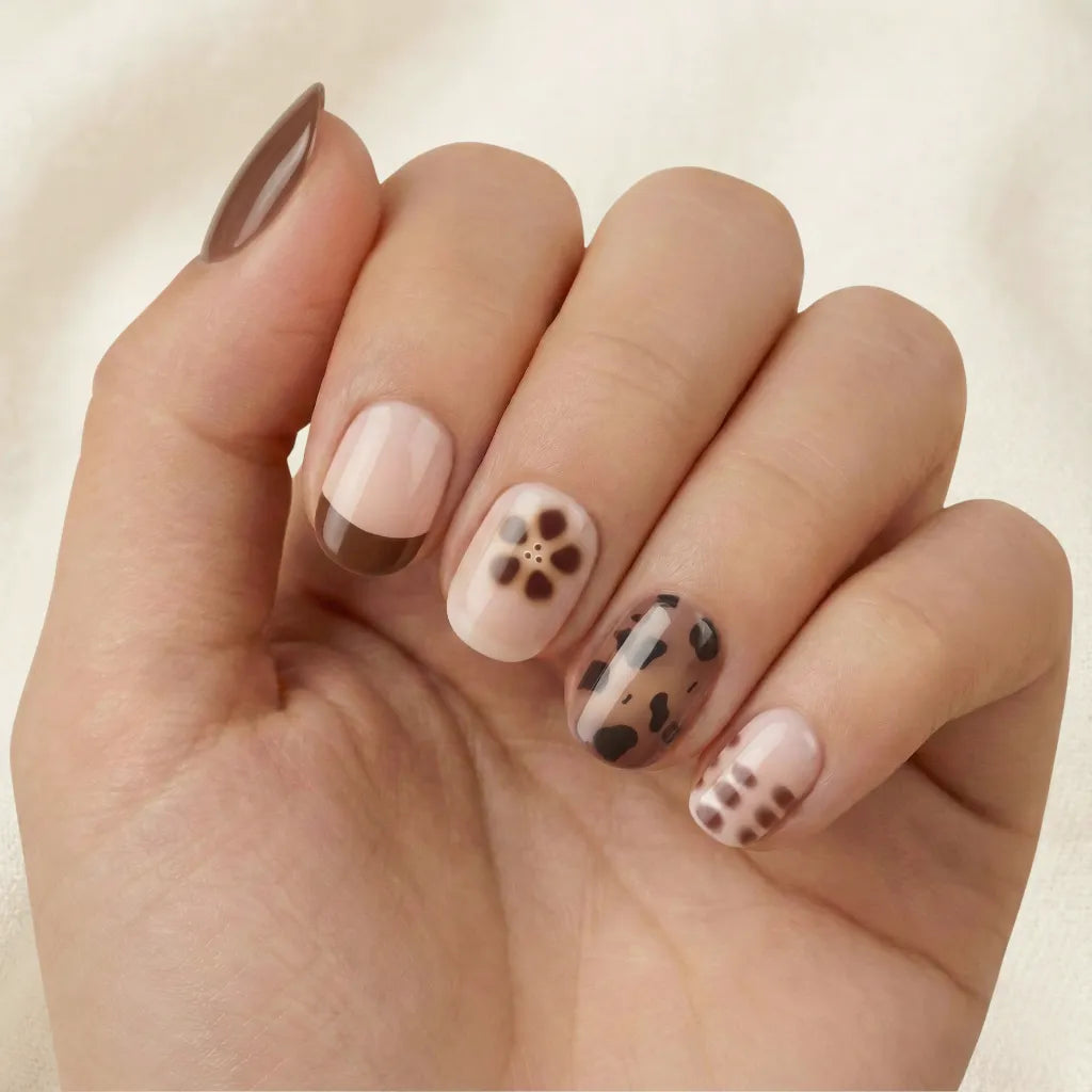 Cocoa Tortoise