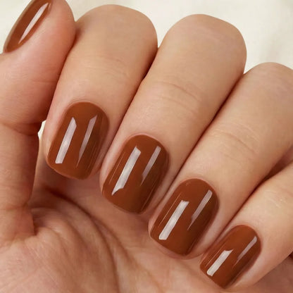 Pumpkin Pie