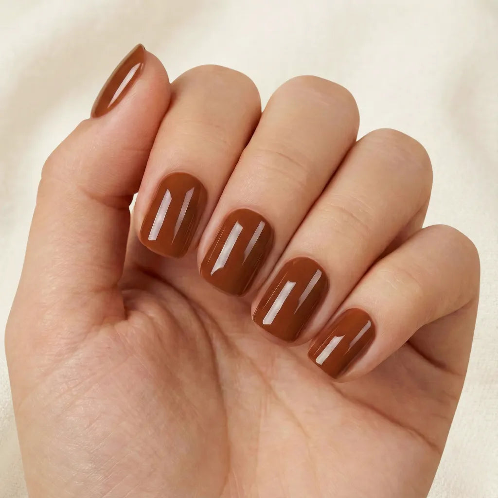 Pumpkin Pie